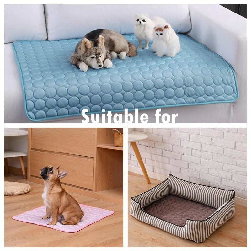 🧊 Tapis rafraîchissant Cool Med (chien et chat)